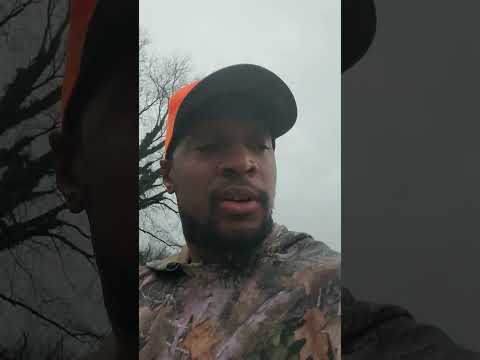 Deer Down!! #thanksgiving #killaoutdoors #deer #wildlife #whitetail #country #fyp #fypyoutube