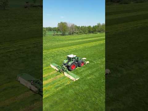 Mähen mit Fendt 939 Vario🤩 #2024 #farming #landwirtschaft #agriculture #fendt #viral