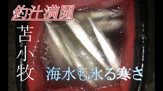 2020　2/9苫小牧で大チカねらい