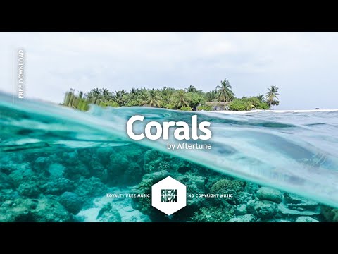 Royalty Free Music No Copyright Instrumental Background Music | Corals [Original Mix] - Aftertune