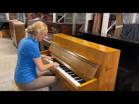 Bechstein Upright Piano Klavier Improv￼