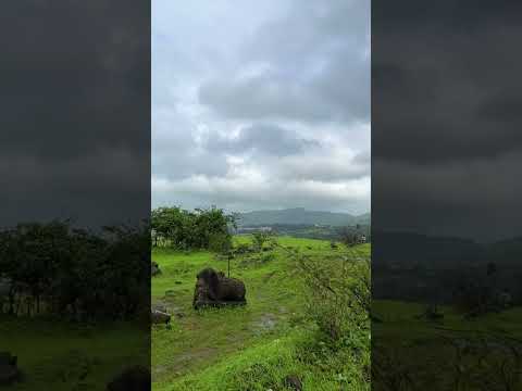 Anjaneri, Trimbakeshwar 🙏🏻🔱 #trimbakeshwar #nashik #mahadev #shorts