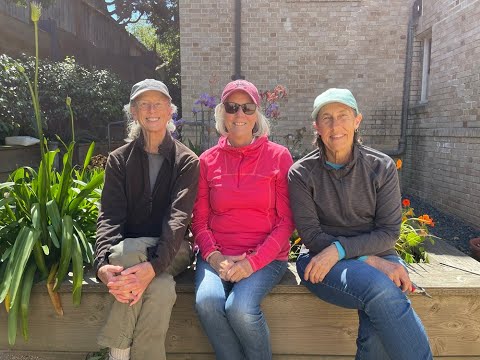 Meet the Noe Valley Branch volunteer gardeners!