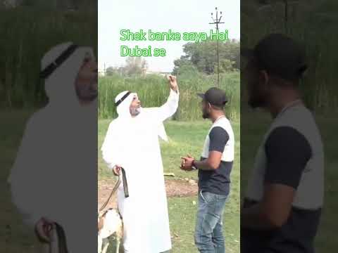 Sekh  Dubai se Bakri lekar aaye hain bhai ne poochh raha hai Dubai se log uth lekar aate Hain