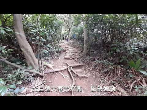 富陽自然生態公園｜101夜景拍照景點｜福州山公園｜希去走走