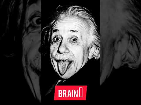 Albert Einstein Brain | #shorts #youtubeshorts #youtube #alberteinstein #simplyreact