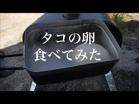 【おすすめレシピ】タコの卵を窯焼名人(ピザ窯)で茹でる。Cook octopus egg in the pizza oven.