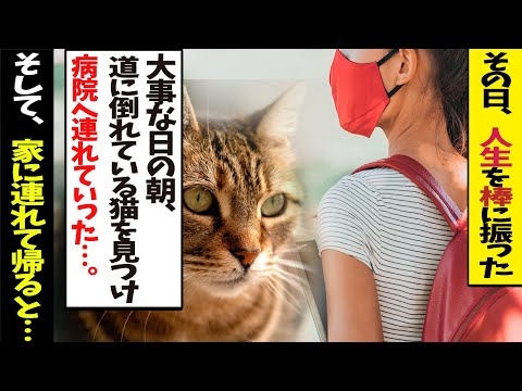 【不思議な話】「その日私は人生を棒に振った…」入試よりも猫の救助を優先した私→しかしその後、猫からの不思議な恩返しが続くことになりある日の事…→「来ることが分かっていました」私「え？」【朗読】【感動】