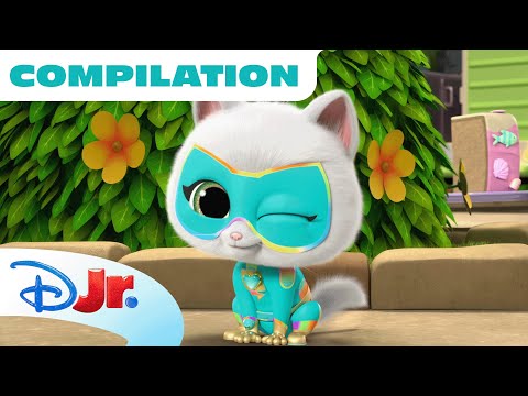 Bitsy's Vlogs | Season 2 Part 1 | Compilation | SuperKitties | @disneyjr