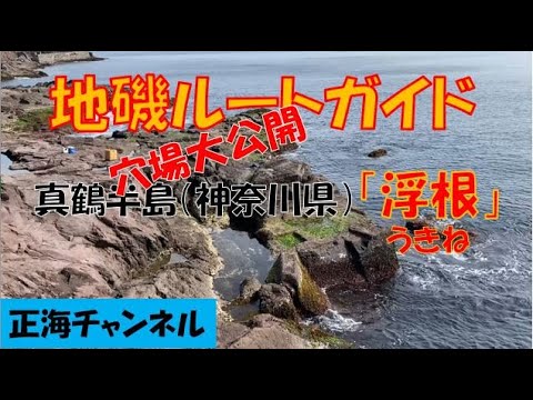 釣り場ガイド「浮根」（神奈川県・真鶴半島）