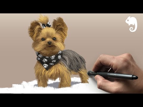 90MAC Life Drawing Class - TOY DOGS