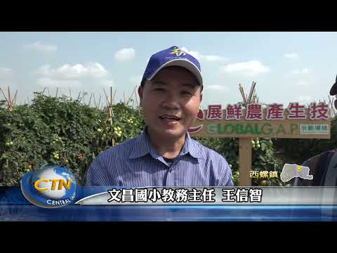 中台灣生活網 文昌推廣食農教育 孩童親手摘番茄