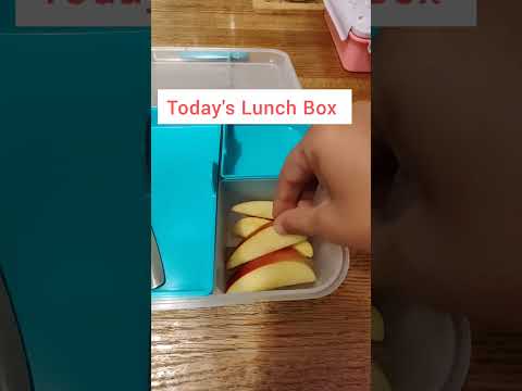 #myhomemakingjourneyaparna #asmr #todayslunchbox #asmrsounds #lunchideas #tiffinrecipe #officelunch