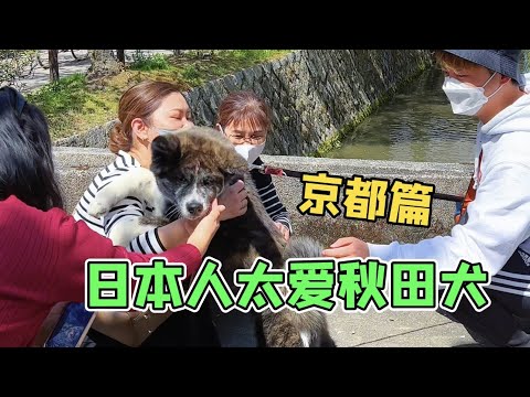 😂日本人見到忠犬八公真的都會這樣！