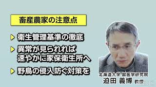 鳥インフルエンザの『高病原性』って何が違う？ 治療法やワクチンなど対応は