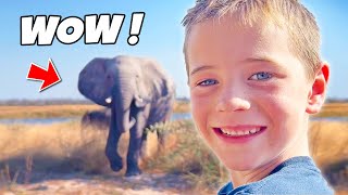 Kids see 🐘Elephants 🐊Crocs 🦛Hippos 🦒Giraffes 🦁Lions on Wild Africa Adventure!