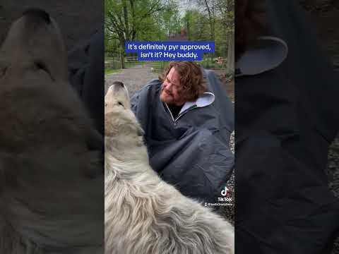 ♿ Conquering Rain with Confidence: The Power of Wheelchair Ponchos! 🌧️💪 [with surprise guest!]