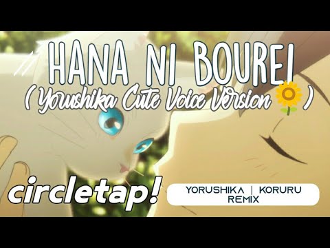 Yorushika is Cute, Ghost in a Flower🌻 (Koruru Remix) Yorushika - Hana Ni Bourei | A Whisker Away