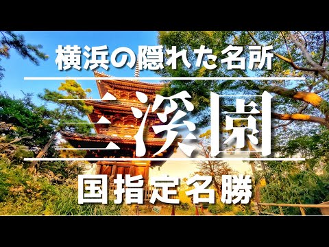 横浜のおすすめ観光スポット　隠れた名所『三溪園』行ってみた