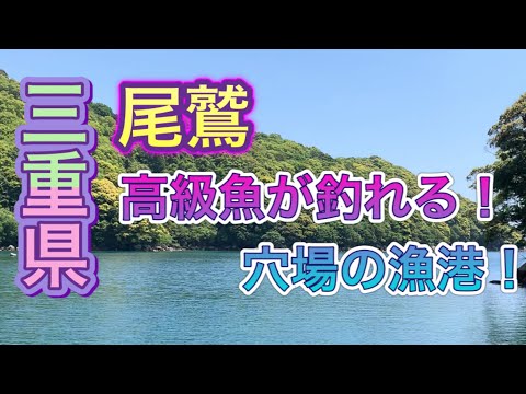 【三重県】尾鷲にある高級魚が釣れる穴場の漁港をご紹介致します！！