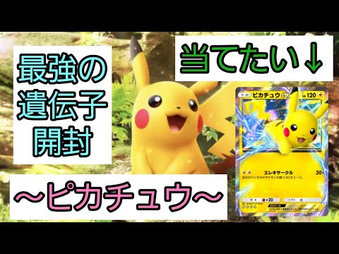 【ポケポケ】最強の遺伝子(ピカチュウ)を開封しました！！【開封動画】