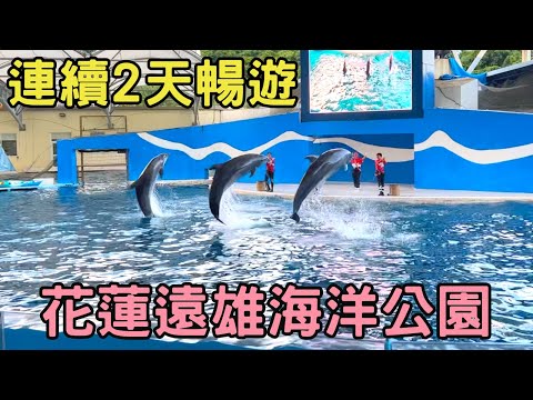 花蓮遠雄海洋公園連續2天暢遊全紀錄！｜海豚表演．海獅巡警隊表演｜海盜大驚航｜海洋冰風暴｜花蓮兩天一夜｜花蓮景點｜Farglory Ocean Park｜Hualien