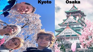 Osaka and Kyoto Japan for cherry blossom season - gowatkinsgo