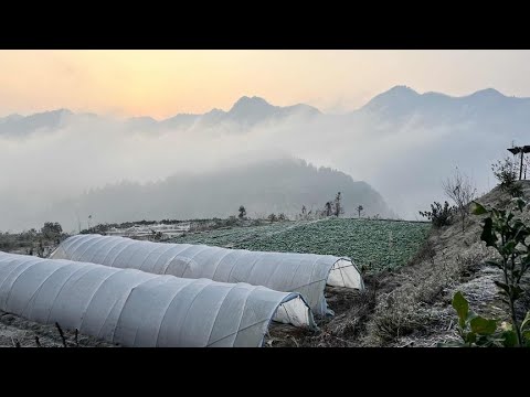 银装素裹，分外妖娆。看起来好看不，就是有点冷。【南方小杨】