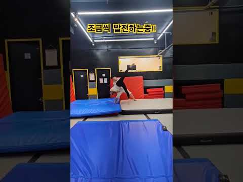 #공중옆돌기 점점 발전하고 있음 #acrobatics #운동 #운동하는여자 #pilates #shorts #tricking