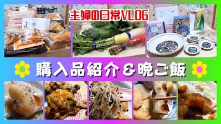 【食料品まとめ買い】週3回分の購入品紹介/トライアルでおでんの食材ゲット！/シャンブルで福袋購入！【50代主婦の日常vlog】