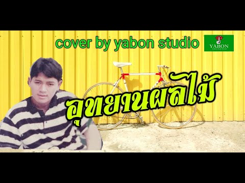 อุทยานผลไม้ [ Cover by YABON & สาธิตย์ ] เพลงนี้้ทำขึ้นเพื่ออนุรักษ์