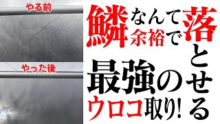 新品ガラスに戻す！？ウロコ誰でも簡単に取れる！今までに無かった日本最高峰の鱗取り「セレス」であなたのお悩み解決します！