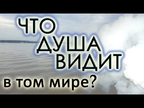 Это придётся увидеть и пережить в час смерти!.. Еп. Александр (Милеант)