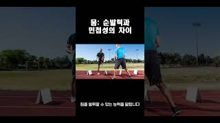 몸: 순발력과 민첩성의 차이