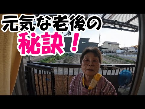 【トレーラーハウス生活】どおするのこんな大量に　#383