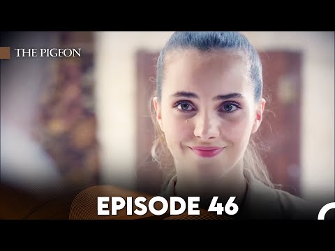 The Pigeon Episode 46 (FULL HD)