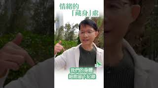 華山秘笈 Reels精華版 - 身心症系列 ：情緒的「藏身」處