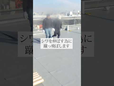 【機械的固定工法】屋上防水工事 #shorts #ショート動画 #防水工事