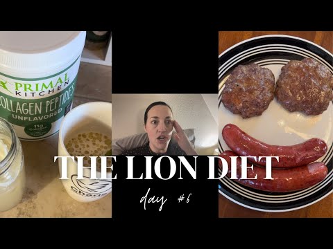 31 Day LION DIET Challenge | Day 6 Vlog & Encouragement