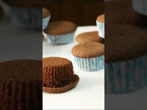 Light and Fluffy Chocolate Cupcake Recipe