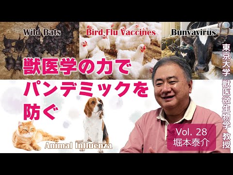 Prevent Pandemics Using Veterinary Medicine: Developing Bird Flu Vaccine, Professor Taisuke Horimoto