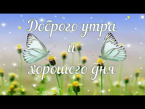 Доброго утра и хорошего дня! Музыкальное пожелание для отличного начала дня! (HD)