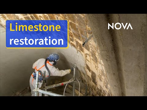 Saving Notre Dame’s Iconic Stone Vaulting