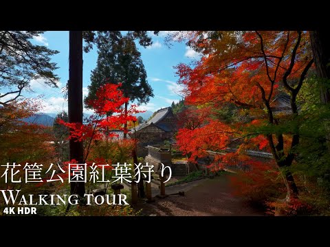 Hanagatami Park Autumn Foliage Stroll v2 Japan 4KHDR 花筐公園 紅葉 散策 v2 福井県越前市