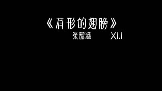 张韶涵 - 有形的翅膀 1.1x 抖音加速版「带着我抵挡 曾受过的伤」有字幕