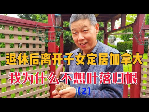 退休后离开子女移民加拿大，8年经历，我为什么不想叶落归根