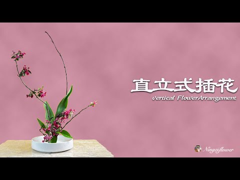 怎样用单一花材插花｜How to arrange flowers with a single flower material