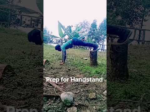 #actor #kalarippayattu #mokshahum #handstand  #exercise