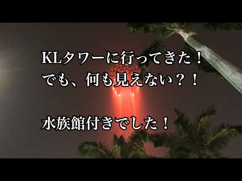 KLタワーに行って来た！ミニ水族館付き！でも全然見えない・・・・