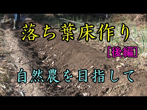 【落ち葉床】落ち葉床での畝作り［後編］